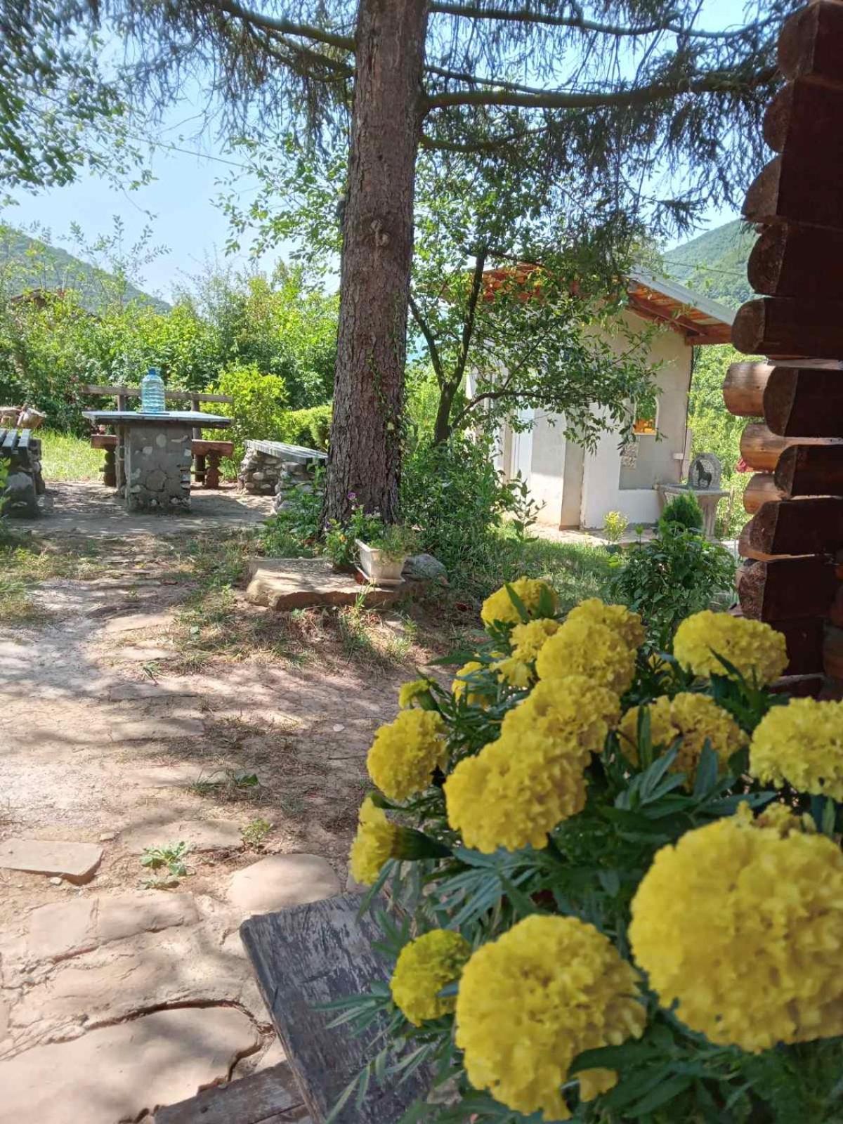 Piramida Mjeseca Villa Visoko Ngoại thất bức ảnh